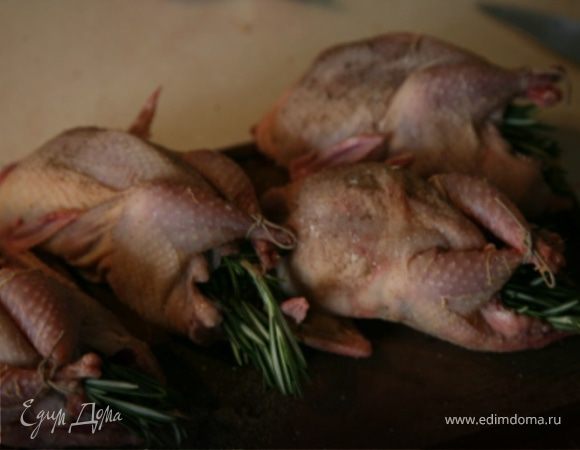 Перепёлок натереть солью и перцем.Положить внуть каждой птички по веточке розмарина.Шпагатом или нитками связать ножки,крылышки завернуть за спину. 