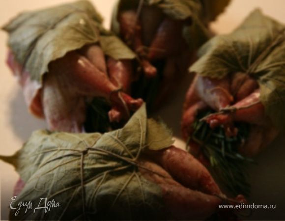 Виноградные листья опустить в кипящую воду на 30 сек.Откинуть на дуршлаг.Завернуть каждую перепелку сначала в ломтик бекона,а затем в виноградный лист.Сверху тоже завязать шпагатом.