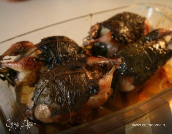 Разогреть в огнеупорной форме растительное масло, и обжарить перепелок со всех сторон до золотистого цвета.Добавить бальзамический уксус и сахар,переставить в разогретую до 180 С духовку на 30-40 мин,поливая образующейся жидкостью.Во время запекания пару раз перевернуть.Подавать очень гарячими.Приятного аппетита!