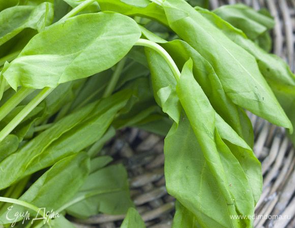 Щавель вымыть, перебрать и просушить.