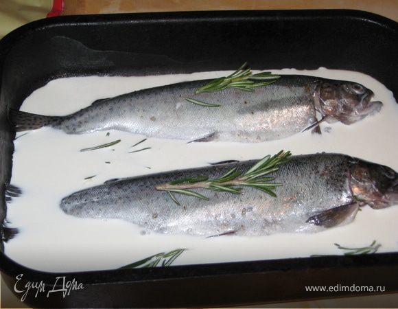 Выложить в форму для запекания, залить сливками (лить сбоку, а не сверху на рыбку), приправить розмарином и отправить в духовку на 40 минут