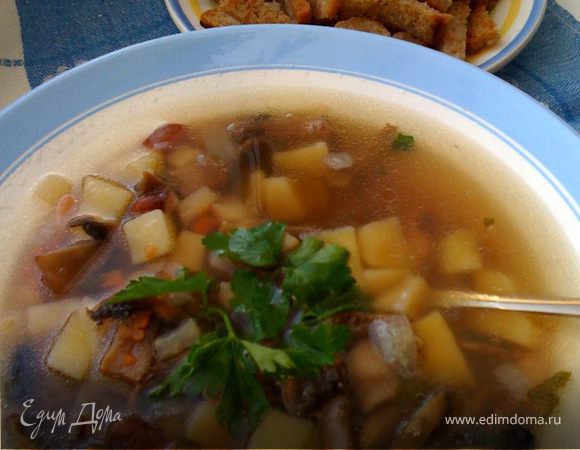 Пока суп настаивается, займитесь приготовлением сухариков. Для этого нарежьте соломкой хлеб, посолите, посыпьте любимыми специями. Можно добавить чеснок. Разогрейте сковороду и быстро обжарьте сухарики на большом огне с добавлением растительного масла.