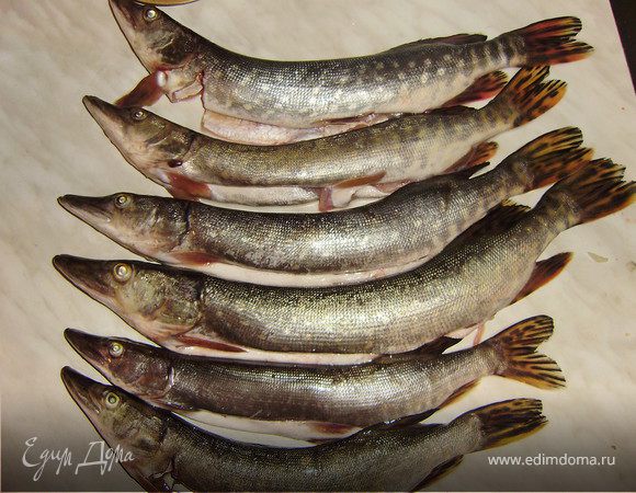 Берем щуку...