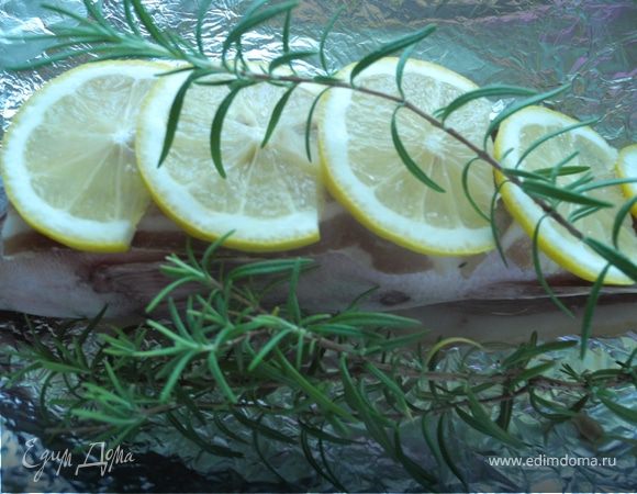 Судака уложить на несколько слоев фольги, обернуть вокруг "тельца" полоски бекона. Сверху положить лимонные дольки (не путать с мармеладом). Положить веточки розмарина.