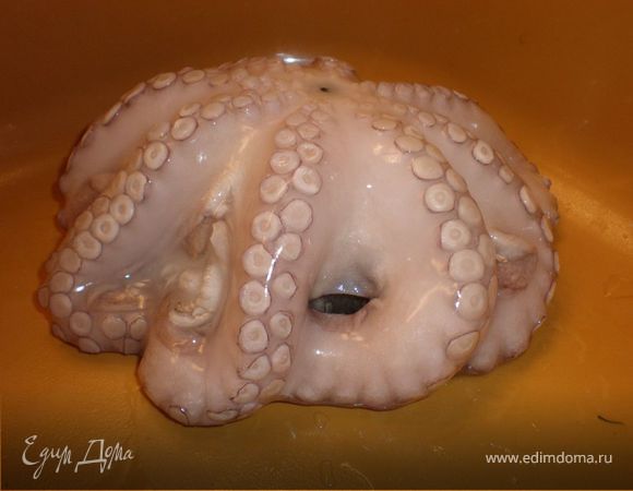 Вот он замороженный!!!