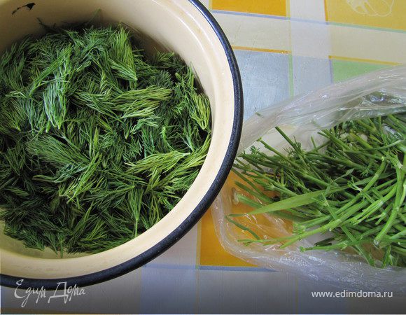 Укроп очистить от "дров" и хорошенько промыть.
Высушить и мелко порубить.
