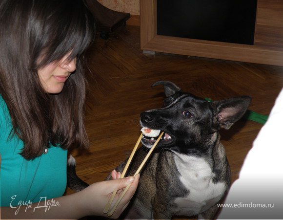 моей собаке тоже понравилось:)