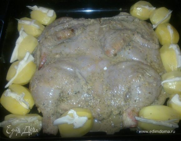 На следующий день перед приготовление ,берем глубокий противень,немног смазываем его оливковым маслом и посеридинке выкладываем цыпленка.Чистим картофель,Надрезаем вдольне до конца и в каждую картошку владем хороший кусочек сливочного масла.(можно масло перемешать с чесноком и укропом и такую смесь выложить в картошку)Тоже будет очень вкусно и оригинально.Вокруг цыпленку выкладываем картофель.