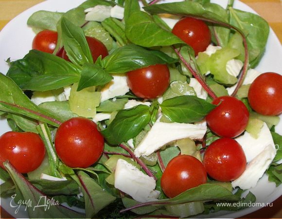 Моцареллу порвать на волокна. Сельдерей нарезать. Все сложить в салатник. Полить маслом, посолить. Слегка перемешать и можно кушать. Приятного аппетита!