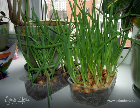 Яйца взобьем с просеянной мукой, добавим молоко, щепотку соли, мелко нарезанный зеленый лук.