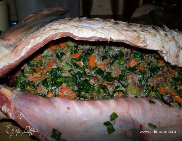 Заполнить брюшко сазана первым слоем начинки