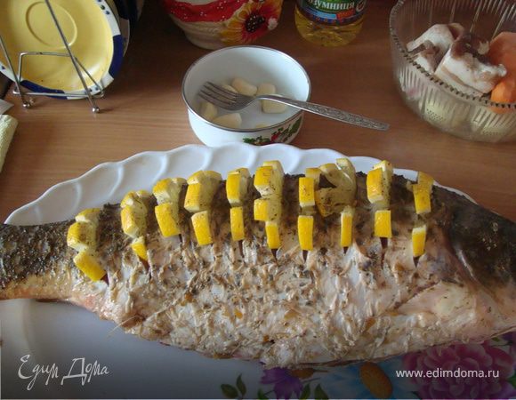 Рыбу очистить. Удалить жабры. Приготовить из оливкового масла, меда, сока 1 лимона, горчицы, сухого базилика, орегано и смеси пряностей для рыбы соли, сахара, перца черного молотого, соус для маринования рыбы. Все хорошо перемешать блендером, натереть хорошо рыбу снаружи и внутри и оставить на ночь в прохладном месте.