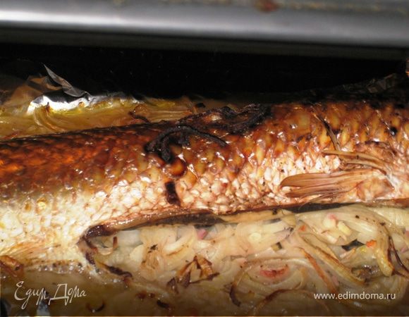 Духовка 200. 20-35 мин в зависимости от величины рыбы