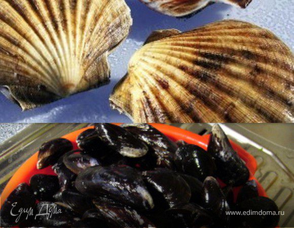 Отделяем филе от рыбы (так как оно нам только и нужно).Оставшиеся в филе кости аккуратно вытаскиваем пинцетом. Филе откладываем в сторону. Рыбью голову промываем от остатков жабр, вытаскиваем глаза. Затем берем тигровые креветки (лучше, если они будут свежие и с головой, если такой возможности нет, размороженные тоже прекрасно подойдут), отрезаем головы, снимаем панцирь,- это тоже пойдет в бульон. В кастрюлю наливаем ложки 2-3 оливкового масла (не Extra Virgin), кидаем нарубленные 6 зубчиков чеснока (можно больше, можно меньше - все в зависимости от того, насколько острую еду вы любите).Туда же сразу можно кинуть пучок нарезанной со стебельками петрушки, немного потомить, когда чеснок начнет румяниться, можно добавлять сельдерей и морковь.Овощи должны тушиться минуты 2-3 на среднем огне. Затем вливаем в кастрюлю целиком бутылку белого сухого вина и сразу же 50 мл самбуки.