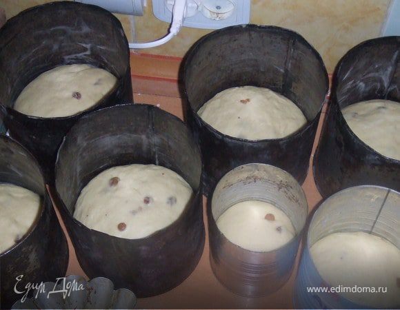 Когда тесто подойдет, выкладывать в форму (не более 13 формы), предварительно смазанную подсолнечным маслом. Тесто растет очень сильно. Я выстилаю формы фольгой, причем она торчит из формы еще примерно на половину формы, тогда тесто накладываю в форму полностью, тесто поднимается по фольге, тогда куличи будут очень высокими, красивыми. Легко потом достаются, фольга вспотеет и они очень легко вынимаются. 
