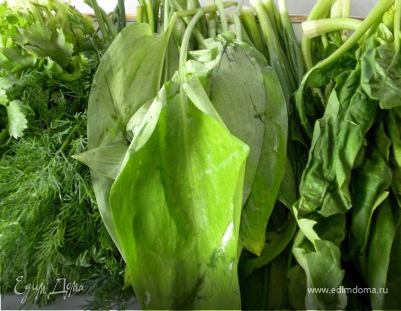 и чисто вымытую зелень.