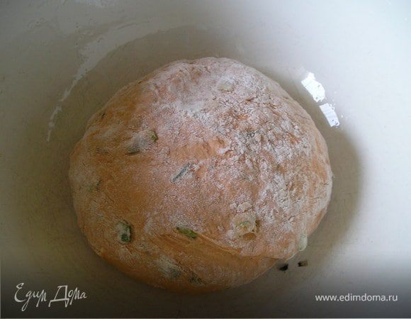 Просеять  2 ст.  муки, добавить  соль, мелко  нарезанные  зеленый  лук  и  укроп. Сделать  углубление, влить  томатную  смесь, раст.масло. Все  смешать. Выложить  на  стол, используя  оставшуюся  муку, замесить мягкое  тесто. 
  Смазать  посуду  для  расстойки  раст.маслом. Выложить  тесто. Присыпать  мукой. Поставить  в  теплое  место  до  увеличения  теста  в  объеме  в  2-3р. Накрыть  полотенцем.