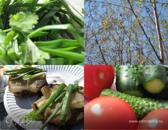 Насладимся пением птиц....голубым небом и вкусной закуской