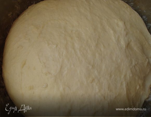 Добавляя муку вымесить тесто до такого состояния, какое вам нравится (необходимо, чтобы тесто не прилипало к рукам). Накрыть миску с тестом мокрым полотенцем и поставить в теплое место без сквозняков (я убрала в духовку).