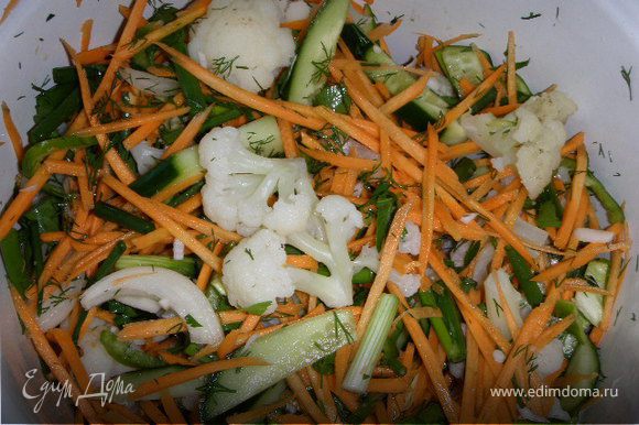 приготовление: Морковь натереть соломкой, перец и чеснок мелко порезать, огурцы - крупно, 0,5 головки лука реп порезать на дольки, крупно порезать зелень, цветную капусту разделить на соцветья и немного проварить в соленой воде (1-2 мин ) Все овощи складываем в чашку, добавляем соль по вкусу, сахар щепотку кориандр и перец и уксус -4-5 ст ложек.(вообще лучше по вкусу)