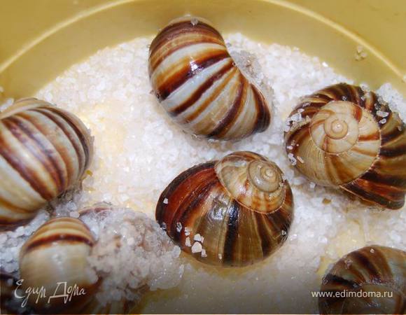На третьи сутки, непосредственно перед приготовлением, их нужно еще раз очень хорошо промыть и засыпать крупной морской солью минут на 15. Тогда мы окончательно избавимся от присущей улиткам слизи. 