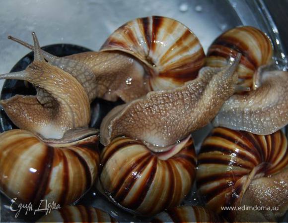 Промываем улиток от соли.