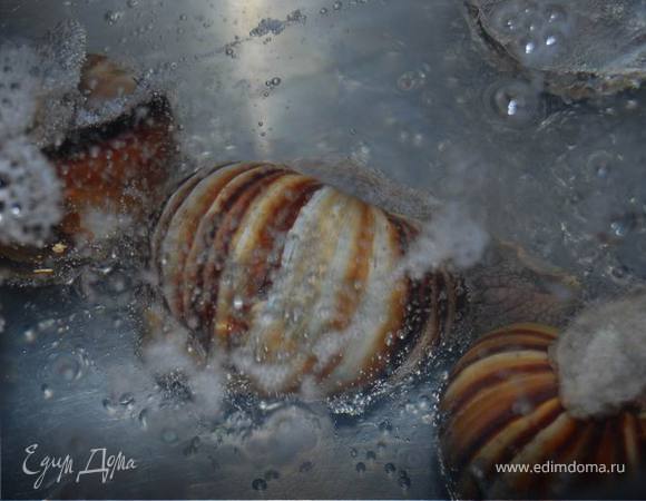 Опускаем бедняжек в кипящую воду с уксусом и солью и варим 15 минут.