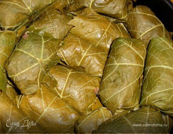 Листья достать из банки, положить в холодную воду - они слишком соленые - примерно на полчаса, чтобы ушла  соль. Вкус можно проверить, попробовав листик.
Мясо перекрутить на мясорубке, добавить сырой рис, поперчить, не солить.
Начать фаршировку - брать немного фарша, лепить виде обычных голубцов заворачивать в листик. полить маслом, добавить 2 стакана бульйона,
накрыть кастрюлю крышкой и тушить на слабом огне около часа....