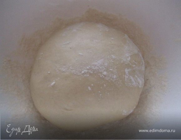 Скатать тесто в шар, поместить в слегка посыпанную мукой, миску, закрыть полотенцем и оставить подходить на 60 минут.