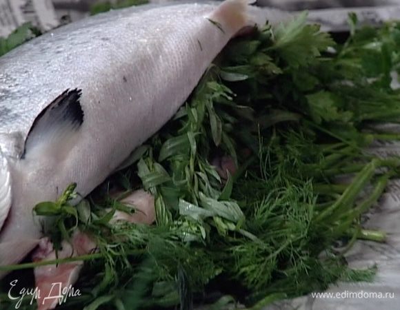 Внутрь семги положить небольшое количество укропа, лука, тархуна, петрушки, нарезанные лимоны.