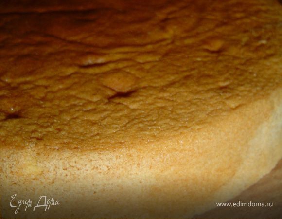 Первым делом готовим бисквит. Для этого яйца взбить в пышную пену.
Затем, постепенно добавляя сахар, взбиваем до образования густой пены.
Постепенно добавляем просеянную через сито муку и аккуратно перемешиваем тесто ложкой, поднимая слой за слоем, пока не вберет в себя муку.Выпекать бисквит 25-40 минут в нагретой до ~180-200°C духовке. После выпечки охлаждаем бисквит и разделяем его на две равные части. Для торта нам понадобится одна половинка бисквита.
 Теперь приступаем к приготовлению крема. Зефир нарезаем небольшими кусочками, заливаем сметаной, даем постоять 30 минут.
Желатин заливаем 0,5 ст. сливок, через 10 минут нагреть постоянно помешивая, но до кипения не доводить.
Взбить зефир со сметаной, не прекращая взбивать добавить немного остывший желатин со сливками.
Укладываем бисквит в кольцо от разъемной формы, пропитываем ореховым сиропом и выкладываем на корж ежевику.
Вылить на бисквит зефирно-сметанный крем, убрать торт в холодильник на 5-7 часов, лучше на ночь.
Снять кольцо и украсить торт по своему желанию.
 Приятного аппетита!!! 

