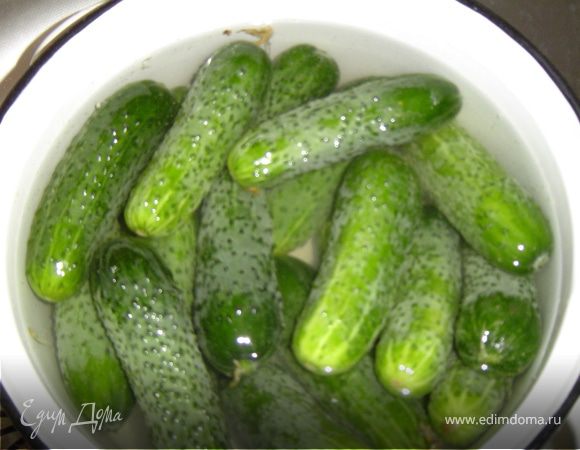 Моем огурцы и заливаем их холодной водой,оставляем их так на 2 часа.Благодаря этому огурцы будут тверденькими.Пока огурчики замачиваются,мы готовим специи.Чистим чеснок,нарезаем небольшими кусочками красный перец,чистим корень хрена и также нарезаем кусочками.На дно кастрюли выкладываем первый слой специй.На специи выкладываем огурцы.Сверху опять специи.И так далее.Готовим рассол - на 1л воды 2 ложки соли(без горки),и им заливаем огурцы.Сверху огурцы закрываем листьями хрена.Кстати о хрене,чем больше положите хрена,тем хрустящее будут огурчики.Если зальете огурцы горячей водой,то они будут готовы через сутки,а холодной - через трое суток.

Наслаждайтесь!Приятного аппетита!