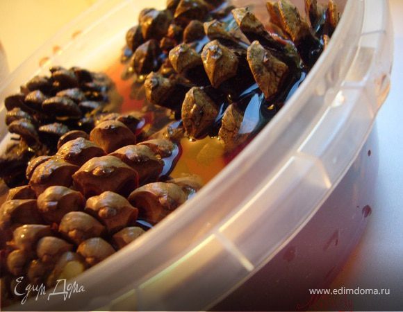 Молодые сосновые шишки перед варкой нужно перебрать, удалить хвою, вымыть. Залить холодной водой, чтобы она покрывала шишки, они могут всплывать, нужно не перелить воду.
