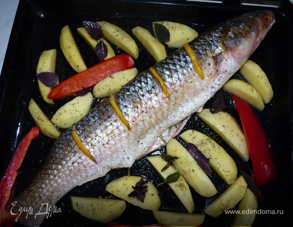 Форму для запекания смазать оливковым маслом, уложить рыбу, полить её лимонным соком, поперчить, посыпать прованскими травами, посолить.
Картофель и болгарский перец порезать, уложить к рыбе, сбрызнуть оливковым маслом, приправить перцем и прованскими травами, посолить.
Разложить веточки тархуна и базилик.
Запекать в духовку 180гр. 45мин.