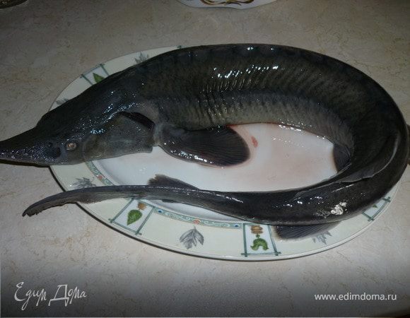 Осетра очистить от внутренностей, промыть, изнутри посолить, поперчить. 