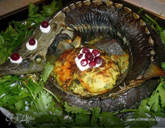 Запеченного осетра выложить на тарелку.