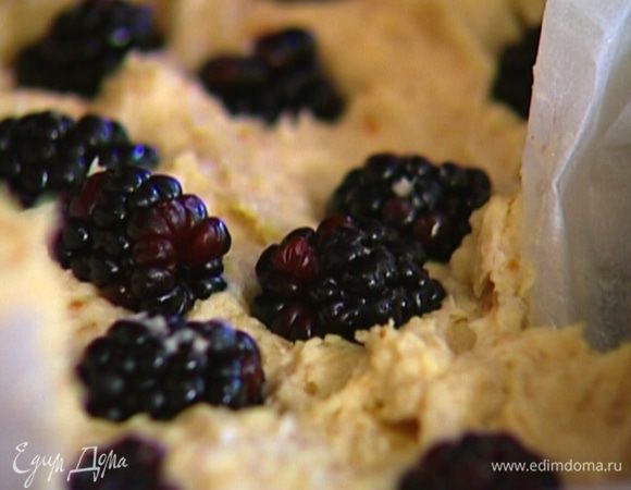 Застелить форму бумагой для выпечки, смазать оливковым маслом. Равномерно разложить часть ежевики, выложить на нее половину теста, затем снова слой ежевики (немного ягод оставить), а сверху — оставшееся тесто. Разровнять и украсить ягодами, слегка вдавив их в тесто.
