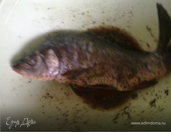 Чистим рыбу,убираем жабры.Хорошо натираем рыбу солью,приправой для рыбы,перцем.Соком половины лимона поливаем внутри и сверху.Оставляем на 15 минут.