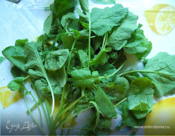 Измельчить чеснок с солью, добавлять по одному листику редиски и растирать, пока не закончатся все. Затем добавляя понемногу орешки, продолжать растирать. В конце добавить оливковое масло. 
Песто готово.
