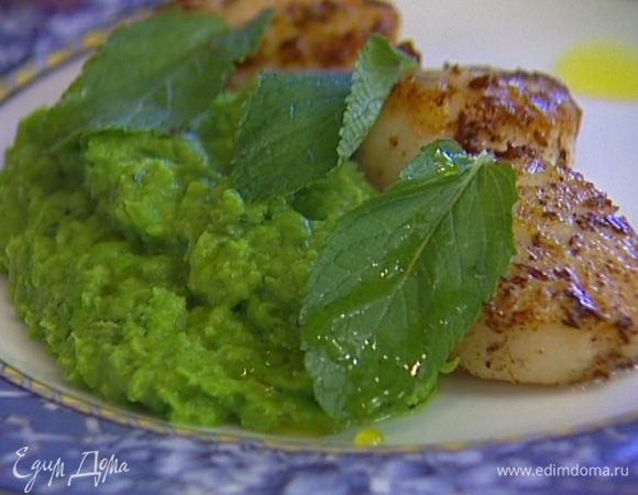 Выложить на тарелку пюре и несколько гребешков, украсить листьями мяты, сбрызнуть оставшимся оливковым маслом.