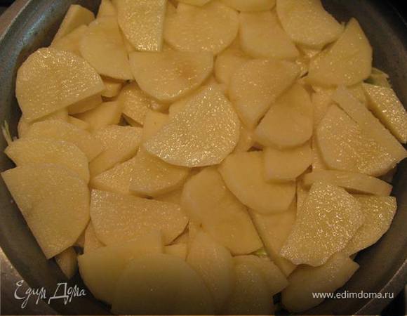 Картофель, нарезанный тонко полукругом, посолить. 