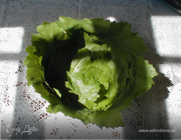 Смазываем разъемную форму растительным маслом,присыпаем панировочными сухарями и выкладываем форму виноградными листьями.