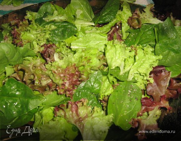 Салаты разобрать, вымыть, просушить, выложить на блюдо и слегка посыпать солью.