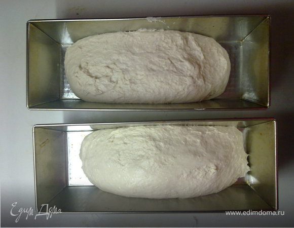 снова замесить тесто,смазав руки маслом и выложить в смазаные формы тесто и снова в теплое темное место на1 час
