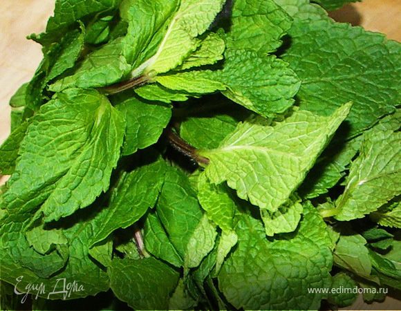 Заварить свежую мяту крутым кипятком.Оставить на 10 мин.Процедить,добавить сахар.Остудить