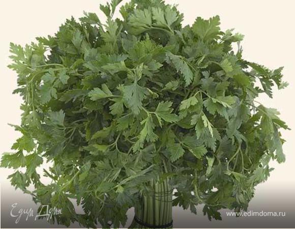 Последний верхний слой - это вторая половина вермишели.
Делаю "болтушку" из сметаны и молока,оставшегося сливочного масла.
.Добавляю резанную петрушку и солю.
Заливаю бабку "болтушкой" и ставлю в разогретую духовку на 30 минут при 190*С.