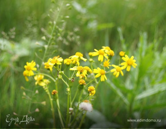 Держим до готовности - как и мясо)))
Приятного отдыха!!!