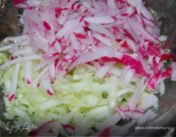 мой свёкр почему-то уверен, что огурец надо во что бы то ни стало очистить от кожуры. Далее его необходимо нашинковать мелкой-мелкой соломкой,а еще лучше восполтзоваться тёркой, аналогично поступить с редиской и болгарским перцем. Заправляем смесью кефира со сметаной, если огурцы водянистые - кладем больше сметыны. Заправив перчим, солим, посыпаем мелко нарубленной зеленью и чесноком! Отличный салат в такую жаркую погоду! Всем приятного аппетита!