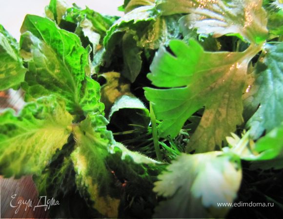 Подготовить зелень, порубить