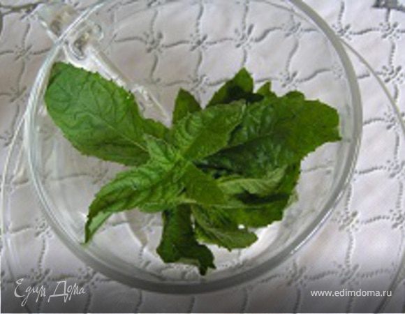 В каждый стакан положить по веточке мяты, влить горячий чай и подавать. По желанию еще можно подать кусковой сахар и ломтик лимона.